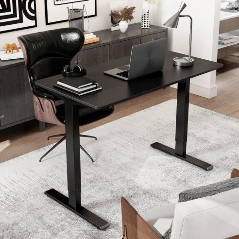 Rectangular Electric Height Adjustable Standing Desk _ FlexiSpot height adjustable desk