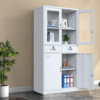 Half-glass Metallic Filling Cabinet