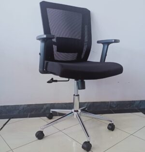 Ergonomic Office Chair with Adjustable Arms