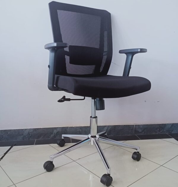 Ergonomic Office Chair with Adjustable Arms