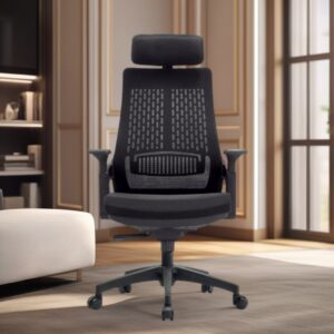Aurora Ergonomic Office Chair