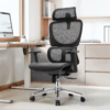 Ergonomic High Back Office Chair
