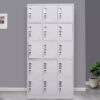 15 Locker Steel Office Cabinet